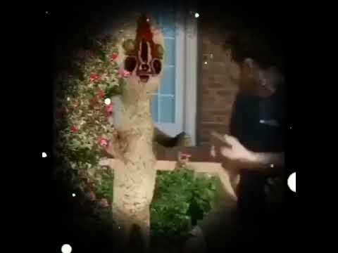 мем из тик-ток #7cacheado #meme #мемы #tiktok (осторожно скример)