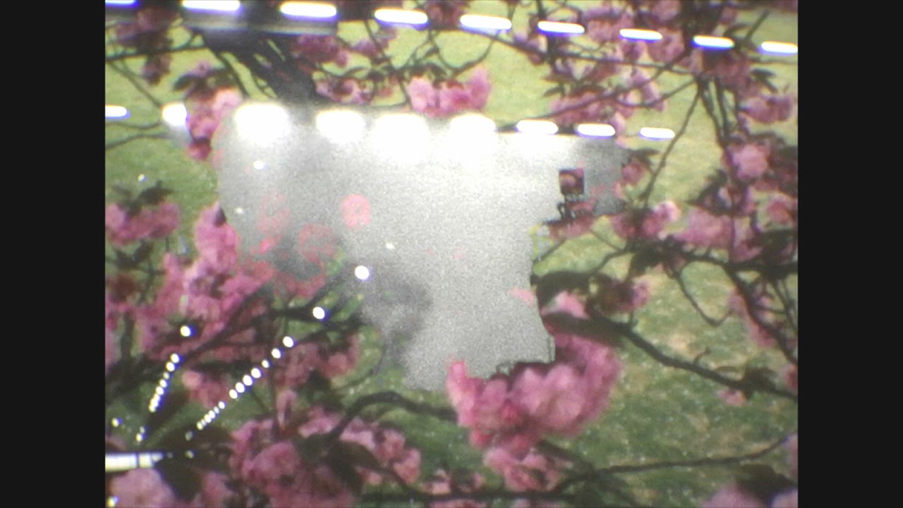 Watch Anarchist Mountains Trio - Conspiracy Means Breathing Together on YouTube Watch Anarchist Mountains Trio - Conspiracy Means Breathing Together on YouTube