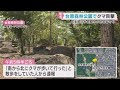 クマの目撃が相次ぐ　仙台市の台原森林公園と宮城野区岩切　宮城・丸森町で緊急銃猟訓練　環境省が個体数調査へ