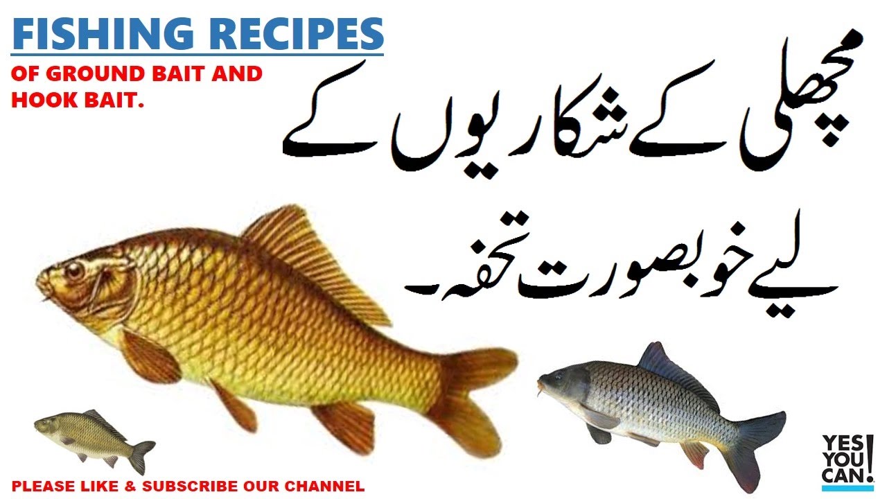 Fish Hunting  - GROUND BAIT AND HOOK BAIT