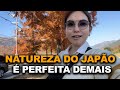 COMO É O OUTONO NO JAPÃO? OLHA ESSE LUGAR LINDO DEMAIS!!!