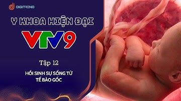 HỒI SINH SỰ SỐNG TỪ TẾ BÀO GỐC  - Y KHOA HIỆN ĐẠI VTV9 - DIGITREND