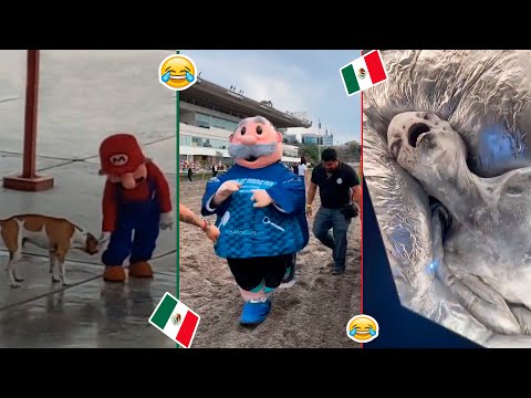 🔥HUMOR VIRAL #84🇲🇽| SI TE RIES PIERDES.😂🤣 | HUMOR MEXICANO TikTok | VIRAL MEXICANO