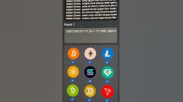 This software finds lost crypto wallets.. link in bio #crypto #fyp #bruteforce #btc #makemoneyonline
