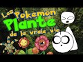 Point Culture : les Pokémon PLANTE de la vraie vie !