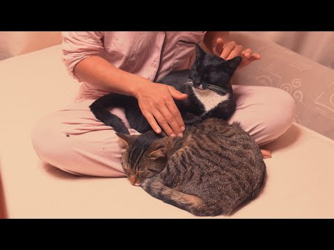 [ASMR] Cat Massage and Soft Spoken Chatting about my Animals and Life on the Farm