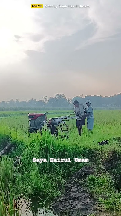 13.08.25 - Kalau Sudah Jahat Kata - Katanya Sering Menyakiti Orang Lain