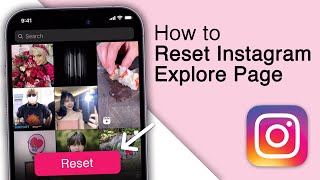 How to Reset Instagram Explore Page in 2024