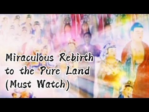 Miraculous Rebirth Case to the Pure Land (Must Watch)