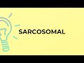 What is the meaning of the word SARCOSOMAL?