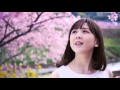 sakura / 大和里菜