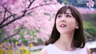 sakura / 大和里菜 大和里菜 検索動画5 sakura / 大和里菜 大和里菜 検索動画 5