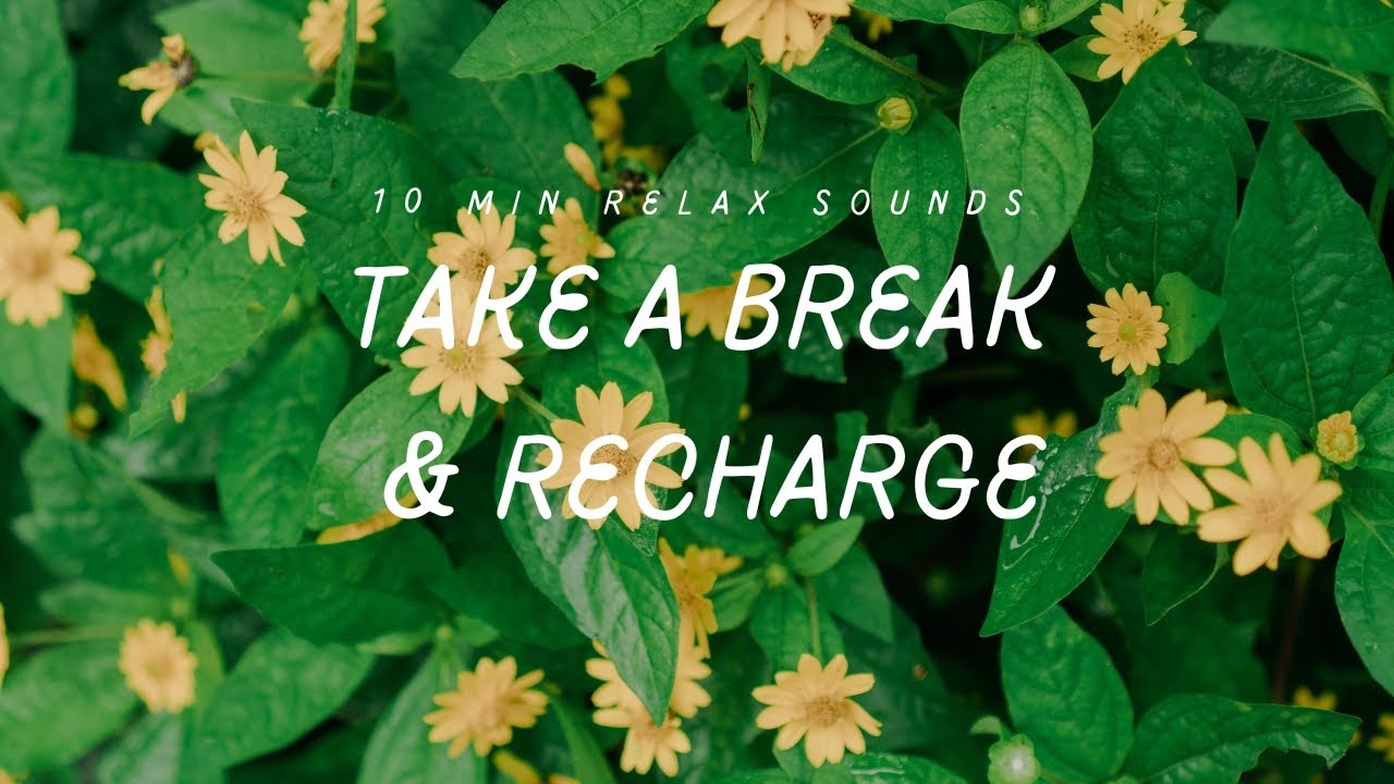 Take a Break & Recharge 🌿 - YouTube