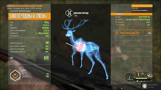 theHunter  Call of the Wild - Фляйшер: Сувенир на память