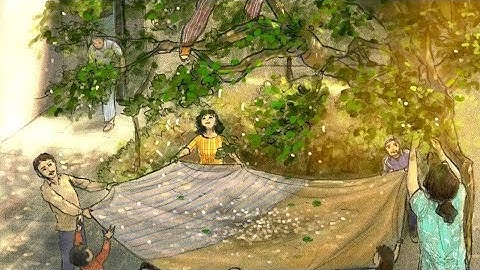 The Hidden Dimensions: How Math Connects Reality Beyond What We See!