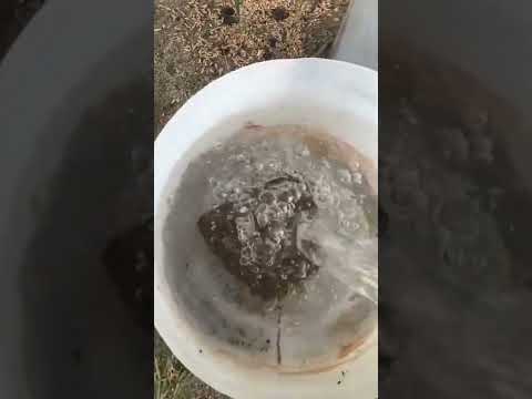 سقيا الماء للطيور والحيوانات