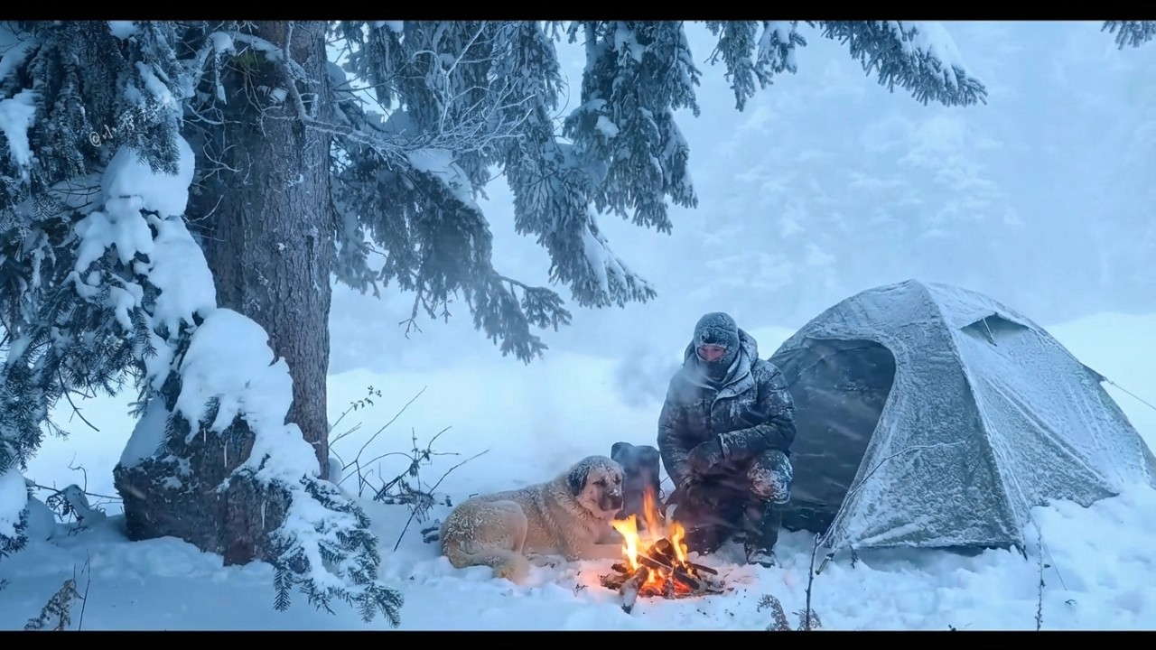 Solo Winter Camping in a BLIZZARD Cozy Hot Tent Survival with My Dog