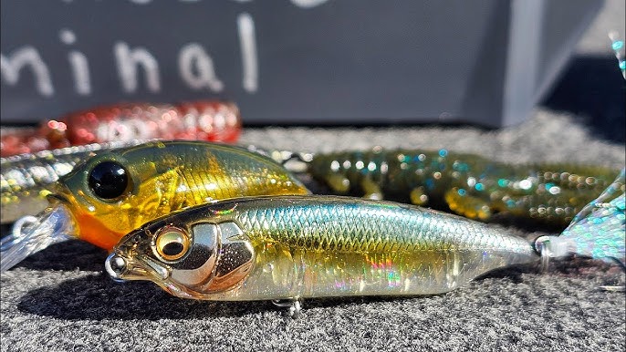 Lures You've Probably Never Heard Of – MONSTERBASS