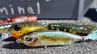 The Best Bait Finesse (BFS) Tricks For Spring Bass Fishing!