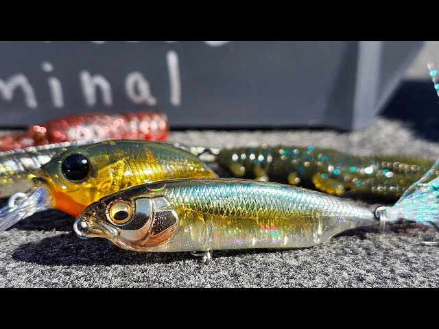 The Best Bait Finesse (BFS) Tricks For Spring Bass Fishing! 