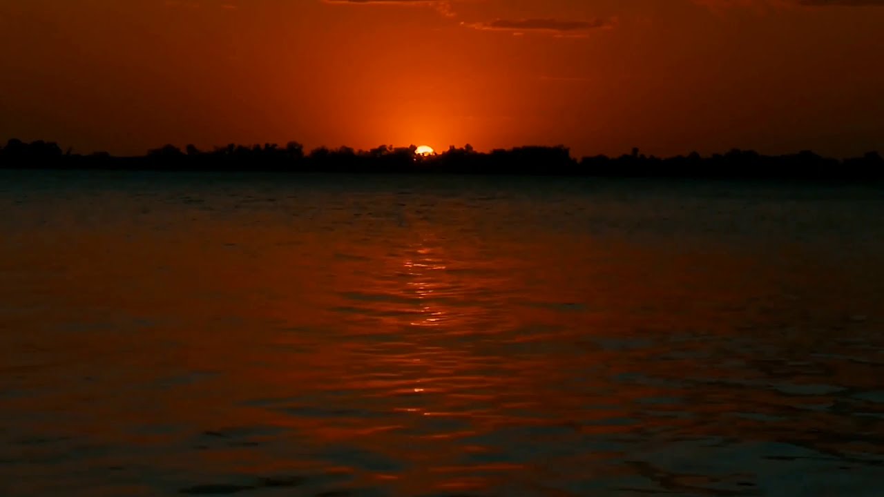 Mira Diosa Music Meditation #16 ❤ Moonflower Stress relief music for relaxing with sweet waves en YouTube Mira Diosa Music Meditation #16 ❤ Moonflower Stress relief music for relaxing with sweet waves en YouTube