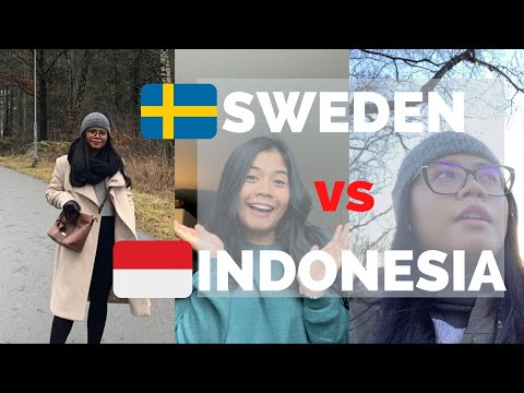 Video: Orang Sweden