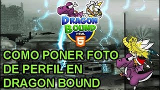★ COMO PONER UNA IMAGEN COMO FOTO DE PERFIL EN DRAGON BOUND - 2019