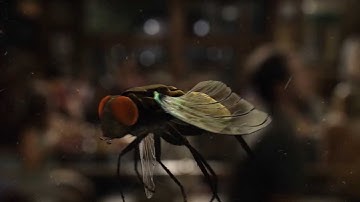 Dilated Pixels - Studio Profile