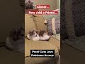 Proof Cats Love Pokémon Legends Arceus (Nintendo Switch)