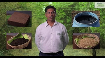 Part-4 (How to Plant Miyawaki Forest) Growing Native Forests Using Miyawaki Technique -  Tutorial