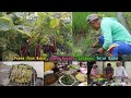 Petik Kacang Merah Dan Jaring Ikan Di Sawah | Masakan Paling Nyampleng