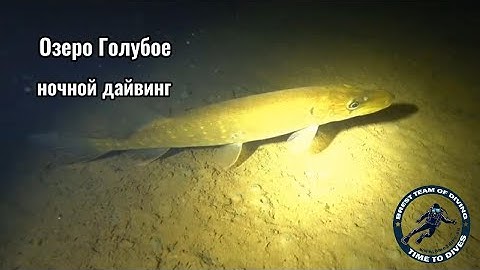 ДАЙВИНГ В БЕЛАРУСИ! НОЧНОЕ ПОГРУЖЕНИЕ! Озеро Голубое г. Брест