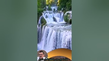 عامر الكاظمي سوره الروم