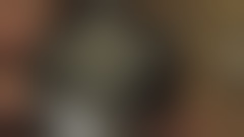 NES Max Controller - D-Pad Upgrade