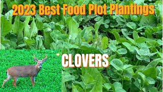 2023 Best Food Plot Planting. Part 1