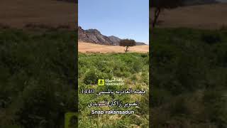 فيضه العاذزيه بالمسمى ١٤٤٠