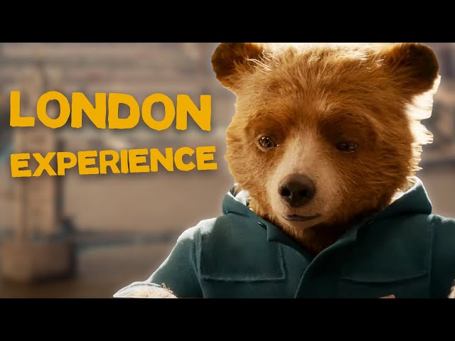 Paddington : Present Continuous