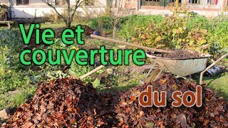 Permaculture: 🌱 Couverture du sol, vie du sol: ressources locales et engrais verts.