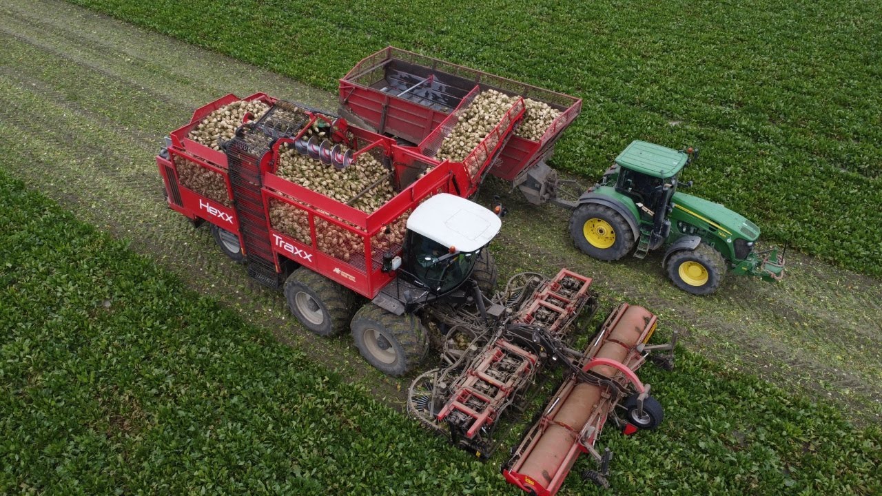 Agrifac Hexx Traxx 12 | 12 row Sugarbeet harvesting | John Deere 7930 + New Holland | Van Hal