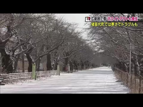 夜の森の桜並木も雪…　軽油のキャンピングカーは思わぬトラブルに…《福島県・寒波襲来》 (23/01/25 18:45)