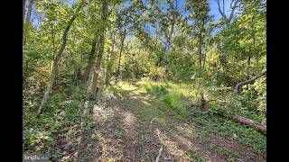 NEW LISTING: VALLEY PARK Court STRASBURG VA 22657