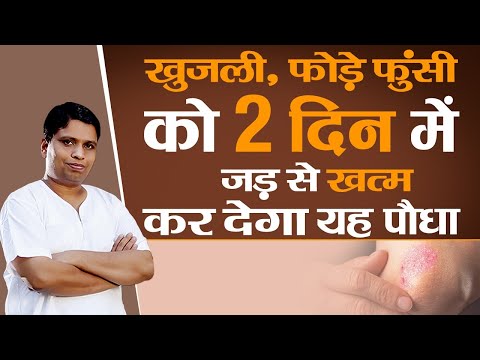 वीडियो: हैम्स्टर्स में त्वचा के फोड़े