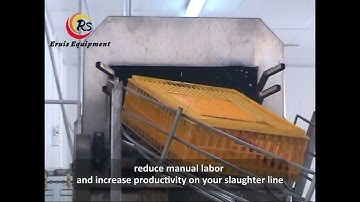 Elevate Efficiency with the Eruis Crate Washer