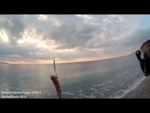 Daiwa Balistic X
