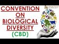 Convention on biological diversity  quick revision series  environment for upsc  ias