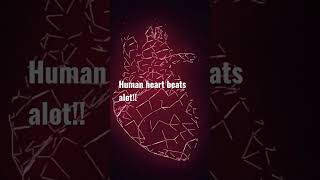 How fast can your heart beat?