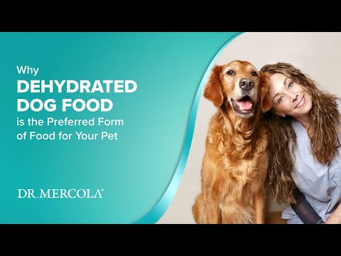Videó: A dehidratált kutyaeledel megegyezik a méréskor megőrzött konzervekkel?