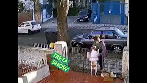 Coitado do CACHORRO até é-lhe foi roubado #short