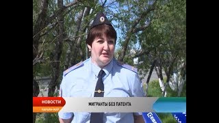 МИГРАНТЫ БЕЗ ПАТЕНТА