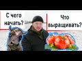 Как начать бизнес в деревне с нуля.  Какую культуру выращивать.